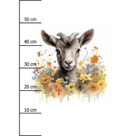 WATERCOLOR GOAT - PANEL (60cm x 50cm) SINGLE JERSEY