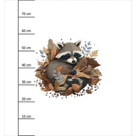 SLEEPING RACCOON  - panel (75cm x 80cm) SINGLE JERSEY PANEL