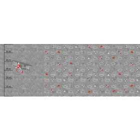 BIPLANE (PLANES) / ACID WASH GREY - PANORAMIC PANEL (60 x 155cm)
