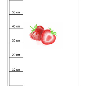 STRAWBERRY - PANEL (60cm x 50cm) SINGLE JERSEY