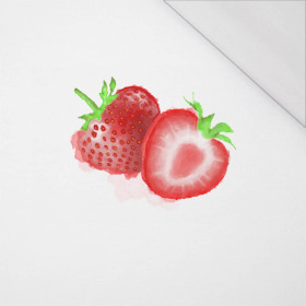 STRAWBERRY - PANEL (60cm x 50cm) SINGLE JERSEY