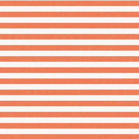 STRIPES 1x1 - acid ecru / acid red 