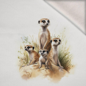WATERCOLOR MEERKAT -  PANEL (60cm x 50cm) brushed knitwear with elastane ITY