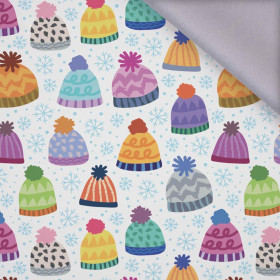 SKATER / blue - softshell