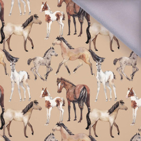 HORSES / beige - softshell