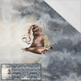 HAT pat. 1 (MAGIC) - PANEL (60cm x 155cm) SINGLE JERSEY