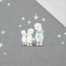 TEDDIES AND STARS / acid grey (MAGICAL CHRISTMAS FOREST) - SINGLE JERSEY PANORAMIC PANEL 