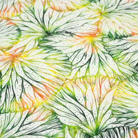 LILY PADS - looped knit SP250