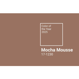 CHECK 2/ Mocha Mousse 