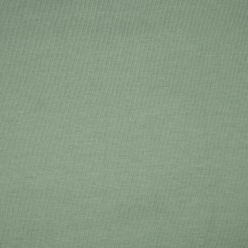 D-45 MODERN MINT - t-shirt with elastan TE210