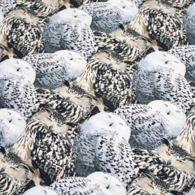 Eagle-owls - looped knit SP250