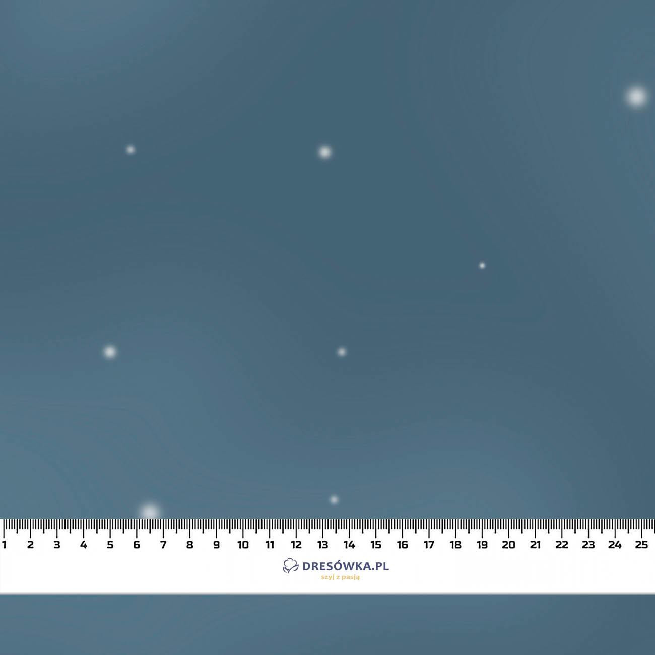 HAPPY CHRISTMAS VZ. 4 - teplákovina počesaná s elastanem ITY