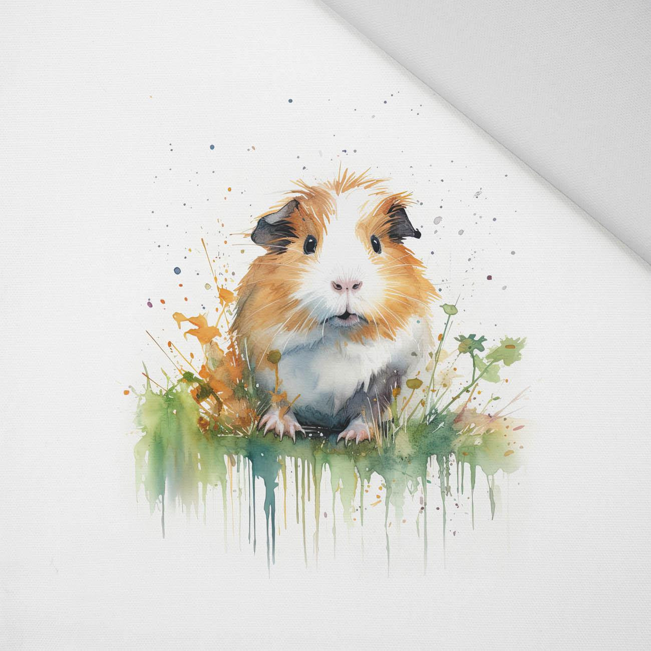 WATERCOLOR GUINEA PIG - Paneel (60cm x 50cm) Panama 220g