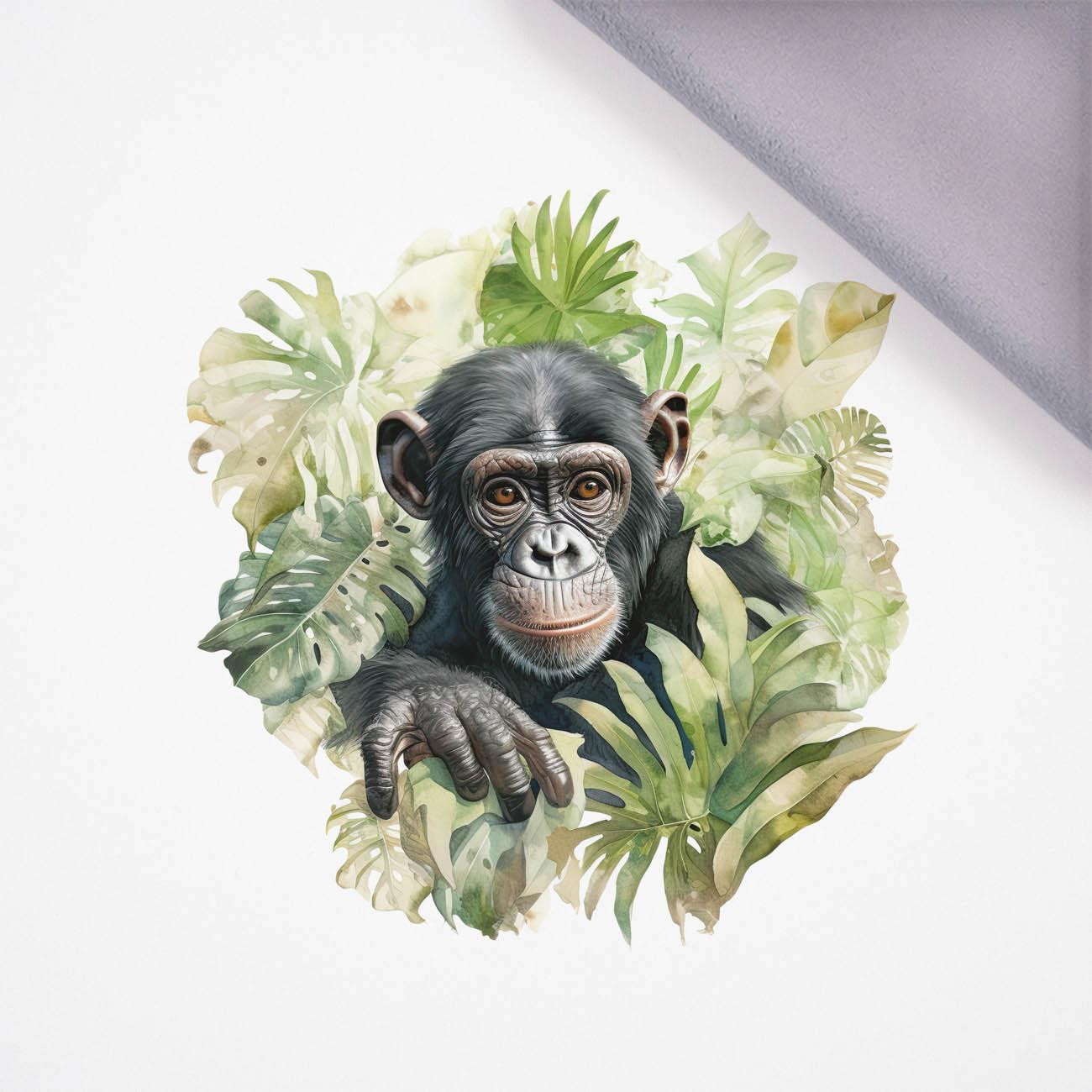 WATERCOLOR MONKEY - panel, softshell (60cm x 50cm)