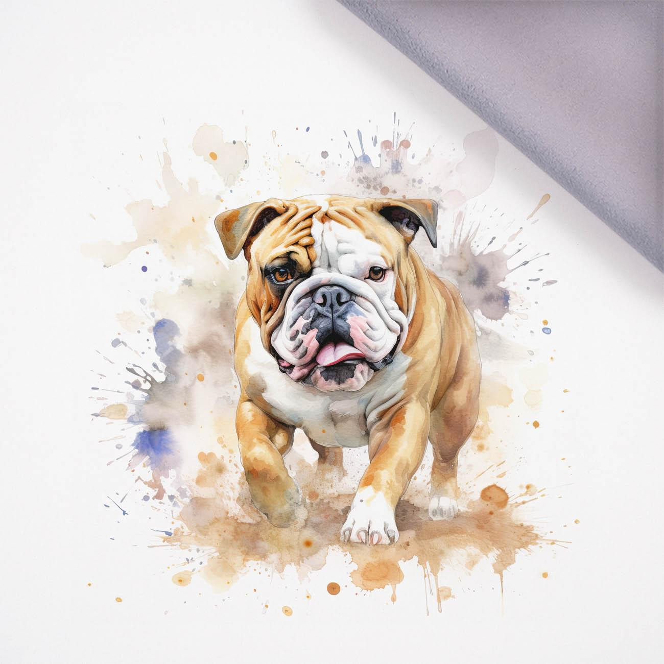 WATERCOLOR BULLDOG - Panel (75cm x 80cm), softshell 