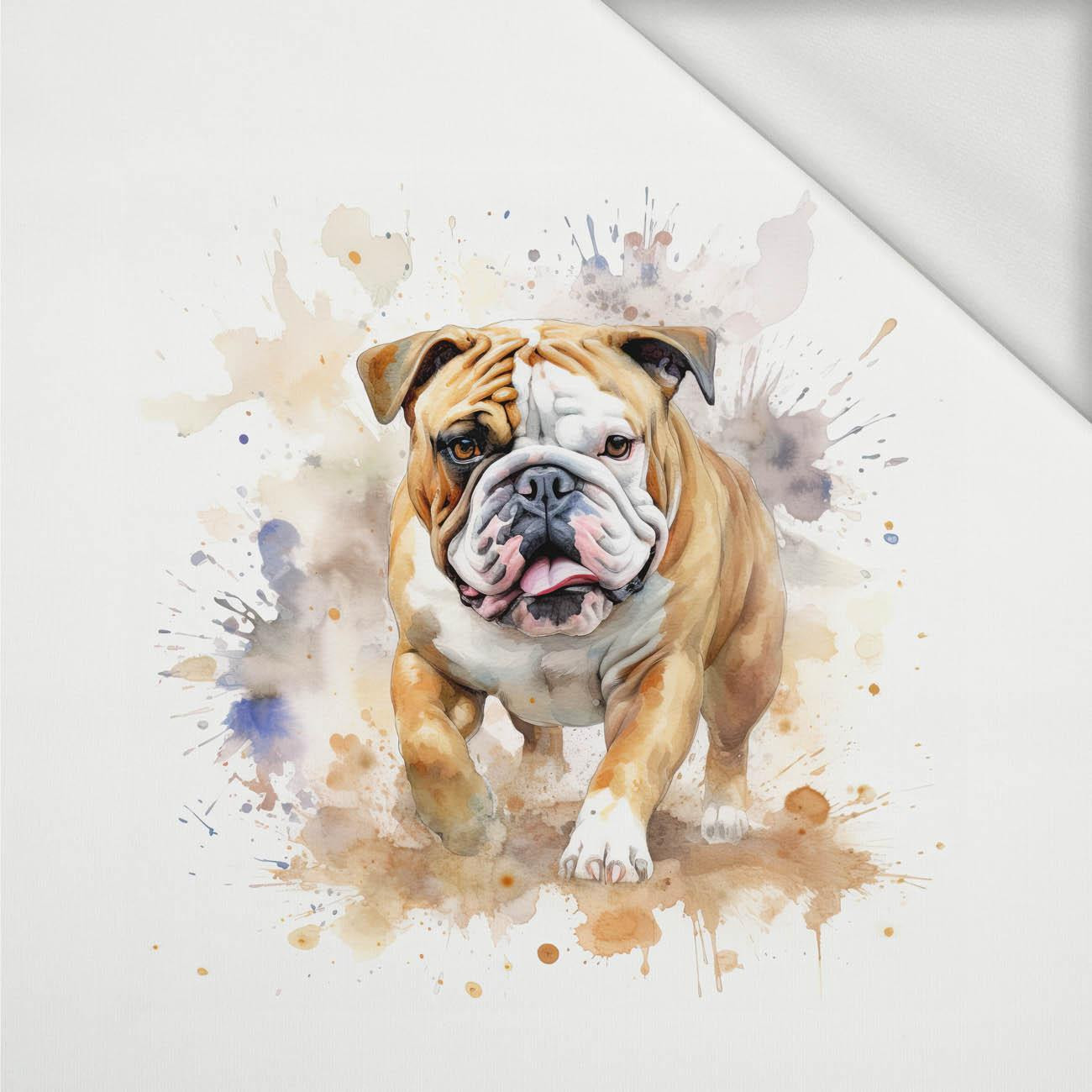 WATERCOLOR BULLDOG - panel (60cm x 50cm) teplákovina