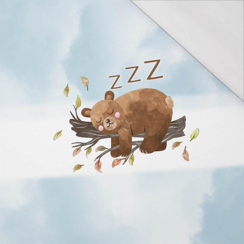 SPACÍ MEDVÍDEK V OBLECÍCH (MEDVĚDI A MOTÝLI) - panel 50cm x 60cm - single jersey 