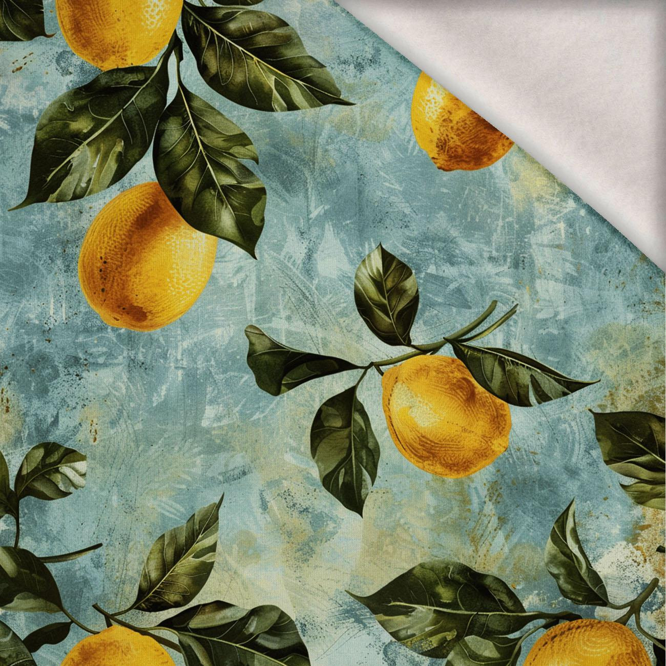 LEMON wz.1 - teplákovina počesaná s elastanem ITY