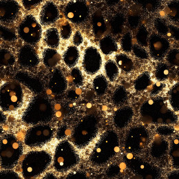 BLACK & GOLD GLAMOUR wz. 6