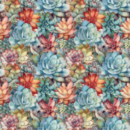 SUCCULENT PLANTS VZ. 7