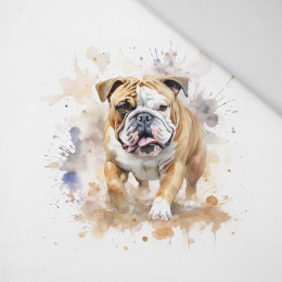 WATERCOLOR BULLDOG - Paneel (60cm x 50cm) Panama 220g