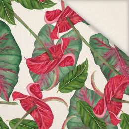ANTHURIUM  - Len 100%