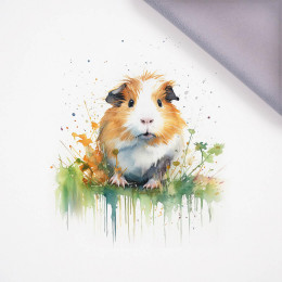 WATERCOLOR GUINEA PIG - panel, softshell (60cm x 50cm)