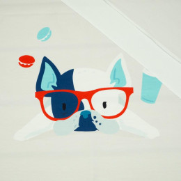Pes v brýlích (J'adore Paris) / aqua - panel teplákovina SP250