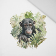 WATERCOLOR MONKEY - Paneel (60cm x 50cm) Panama 220g