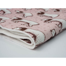 LEDNÍ MEDVĚDI - Teplákovina počesaná D300