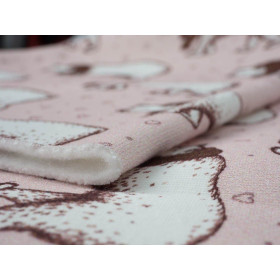 LEDNÍ MEDVĚDI - Teplákovina počesaná D300