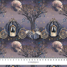 ZAČAROVANÝ KOČÁR (ZAČAROVANÁ NOC) - teplákovina počesaná s elastanem ITY