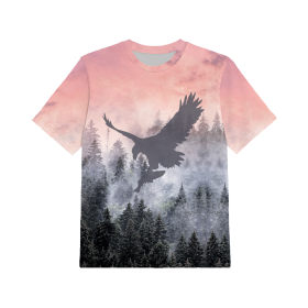 2-PACK - DĚTSKÉ TRIČKO - TYRANOSAURUS A OREL - Sada šití