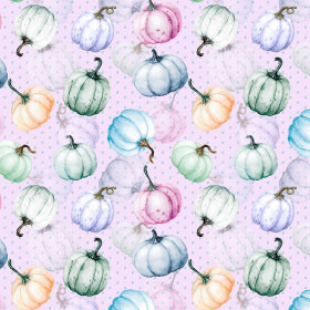 DÝNĚ vz. 2 (dýňová zahrada)