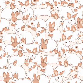 HARES  VZ. 6