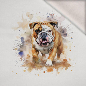 WATERCOLOR BULLDOG - Panel (75cm x 80cm) teplákovina počesaná s elastanem ITY