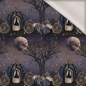 ZAČAROVANÝ KOČÁR (ZAČAROVANÁ NOC) - teplákovina počesaná s elastanem ITY