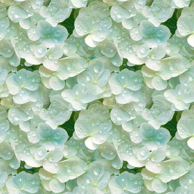 FLOWERS WZ.27 - Hydrofobní česaná teplákovina