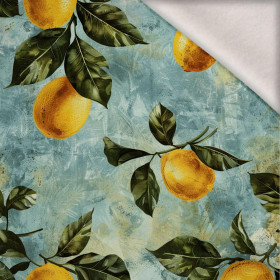 LEMON wz.1 - teplákovina počesaná s elastanem ITY