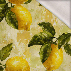 LEMON wz.3 - teplákovina počesaná s elastanem ITY