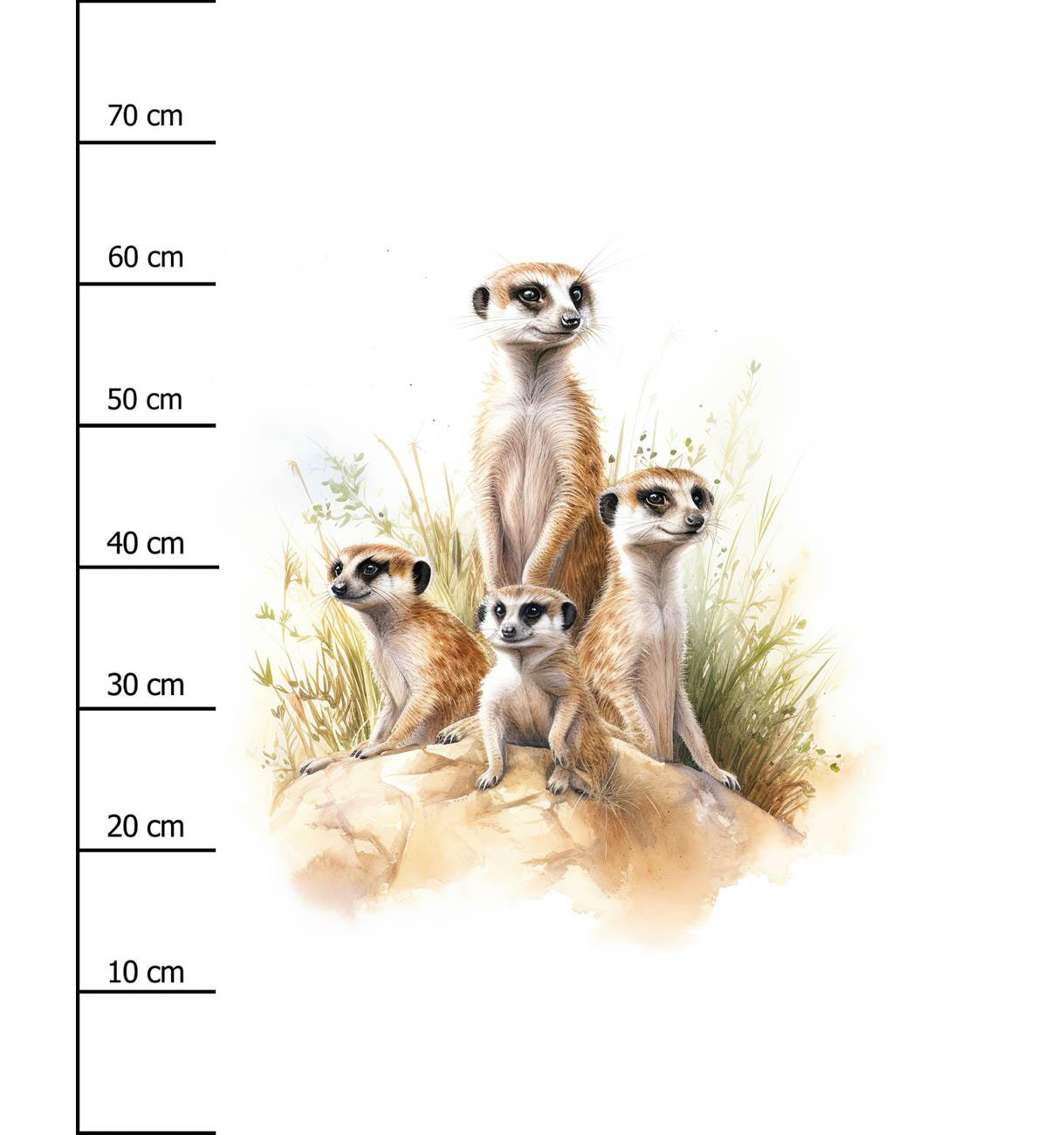 WATERCOLOR MEERKAT - Panel (75cm x 80cm) teplákovina počesaná s elastanem ITY