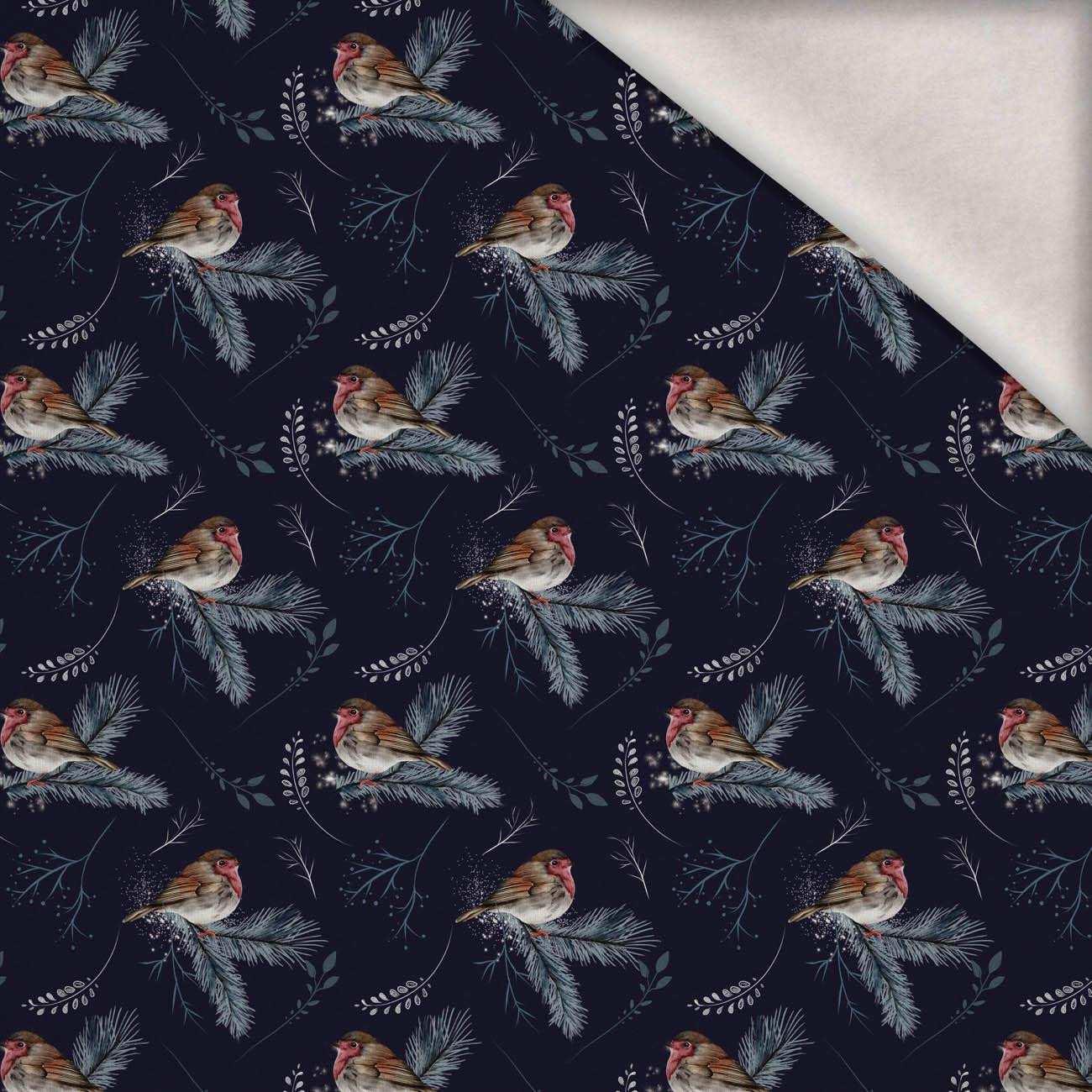 ZIMNÍ ČERVENKY (ZIMA V PARKU) - teplákovina počesaná s elastanem ITY