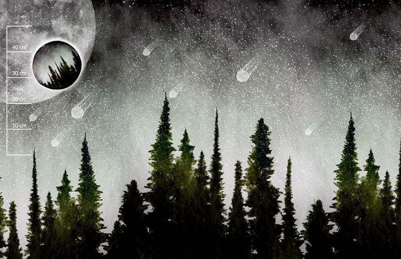 METEORICKÉ ROJE (GALAXY) - panel panoramic / VELKÝ
