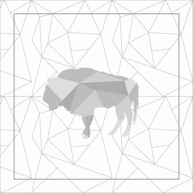 POLŠTÁŘOVÝ PANEL - GEOMETRICKÝ ZUBR (ADVENTURE) / bílý led