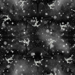 WINTER GALAXY VZ. 3