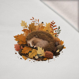 SLEEPING HEDGEHOG - panel (60cm x 50cm) teplákovina počesaná s elastanem ITY