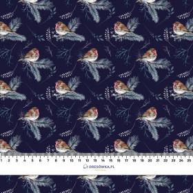 ZIMNÍ ČERVENKY (ZIMA V PARKU) - teplákovina počesaná s elastanem ITY