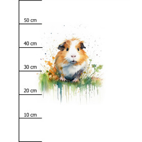 WATERCOLOR GUINEA PIG - panel (60cm x 50cm) teplákovina počesaná s elastanem ITY