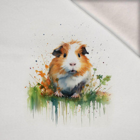 WATERCOLOR GUINEA PIG - panel (60cm x 50cm) teplákovina počesaná s elastanem ITY