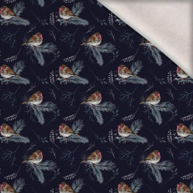 ZIMNÍ ČERVENKY (ZIMA V PARKU) - teplákovina počesaná s elastanem ITY